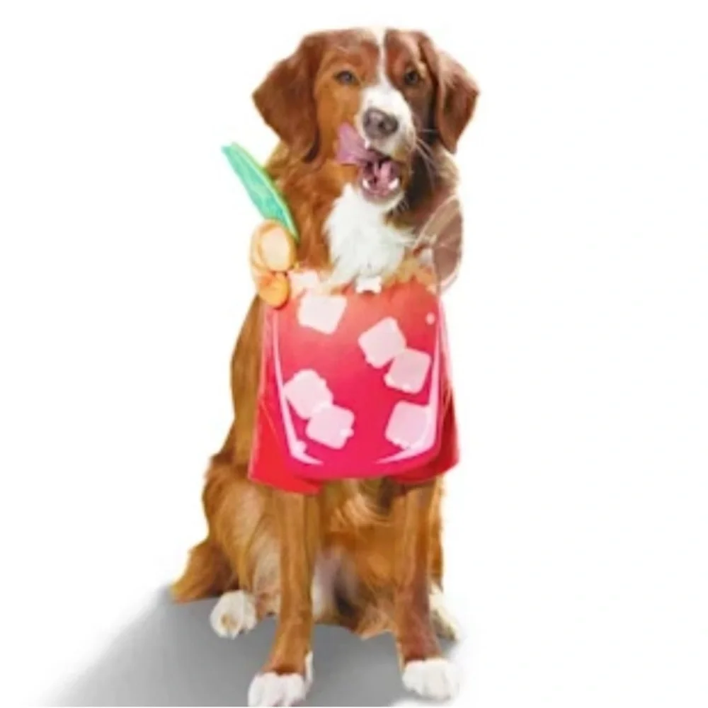 NWT Bloody Mary Halloween Dog Costume L